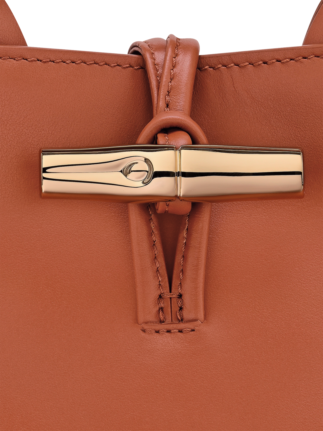 Product image 6 of 6, which shows Longchamp Le Roseau Leather Small Crossbody Bag, Bark