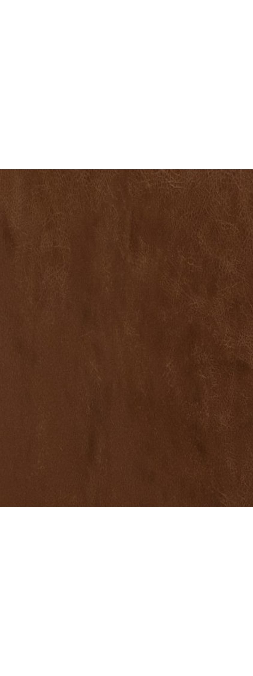 Premium Cocoa