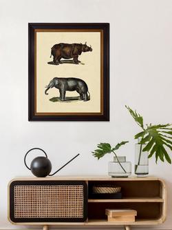 Brookpace Lascelles 'Animal Studies I' Framed Print, 50 x 40cm, Brown/Cream - view 2, Brown, Cream