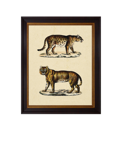 Brookpace Lascelles 'Animal Studies II' Framed Print, 50 x 40cm, Brown/Cream, Brown, Cream