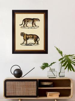 Brookpace Lascelles 'Animal Studies II' Framed Print, 50 x 40cm, Brown/Cream - view 2, Brown, Cream