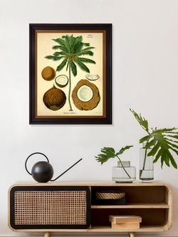 Brookpace Lascelles 'Coconut Palm' Framed Print, 50 x 40cm, Green/Cream - view 2, Green, Brown, Cream