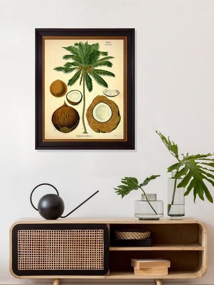 Brookpace Lascelles 'Coconut Palm' Framed Print, 50 x 40cm, Green/Cream - view 2, Green, Brown, Cream