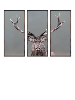 Brookpace Lascelles 'Stag Triptych' Framed Prints, Set of 3, 157 x 115cm, Grey/Brown, Grey, Brown