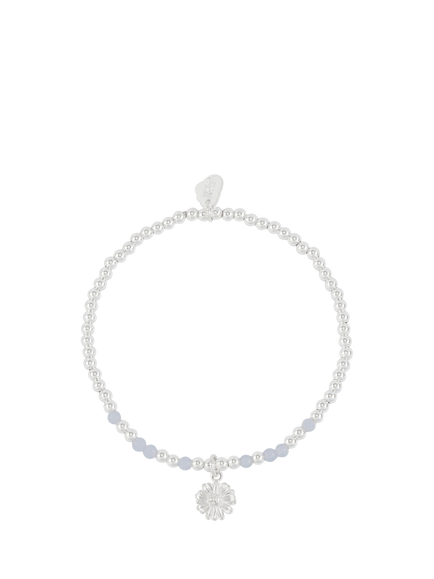 Estella Bartlett Wild Agate Beaded Bracelet, Silver/Blue, Silver/Blue