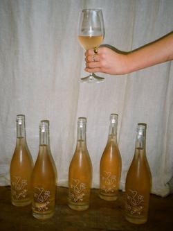 Amie Organic Rosé Wine, 75cl - view 2, 