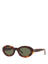 Tortoise