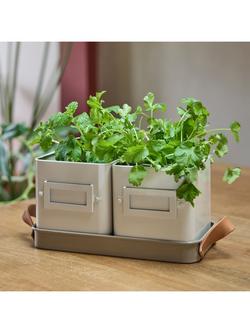 Burgon & Ball Kitchen Herb Pots, Mushroom - view 2, Mushroom