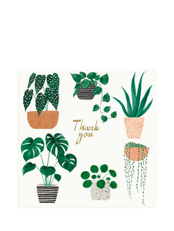 John Lewis Houseplants Thank You Card, 