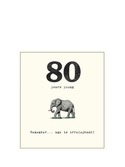 Pigment Age Is Irrelephant 80th Birthday Card, 
