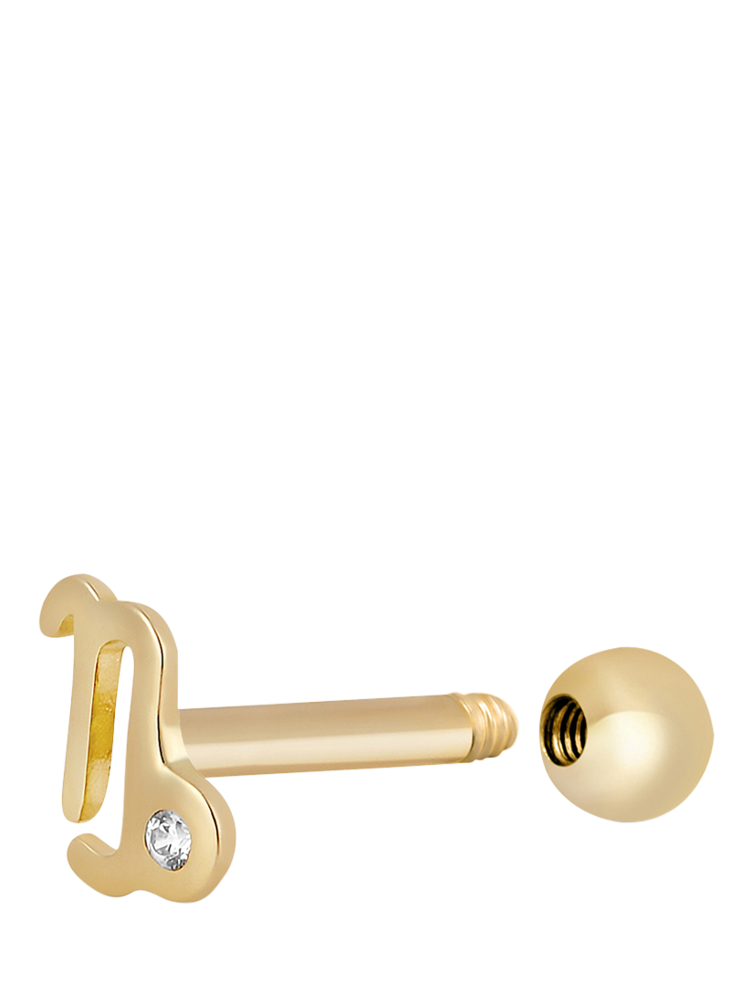 Product image 3 of 3, which shows Tish Lyon Zodiac 9ct Yellow Gold Jewelled Barbell Earring, Single, Capricorn