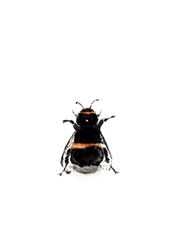 Wild Earth Art Bumble Bee Blank Greeting Card, 