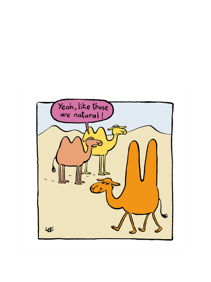 Woodmansterne Camel Large Humps Blank Greeting Card, 