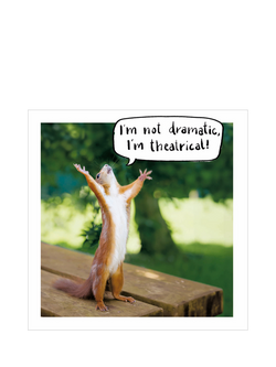 Woodmansterne Squirrel With Arms Up Blank Greeting Card, 