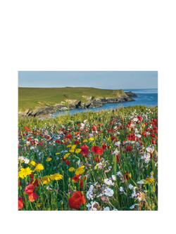 Woodmansterne Wild Flowers and Poppies Blank Greeting Card, 