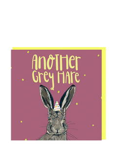Lovely Paper Stuff Another Grey Hare Birthday Card