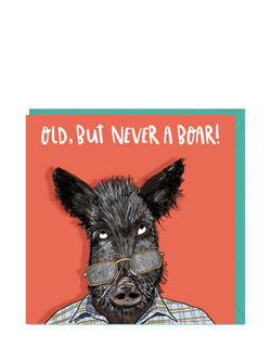 Lovely Paper Stuff Old Boar Birthday Card, 
