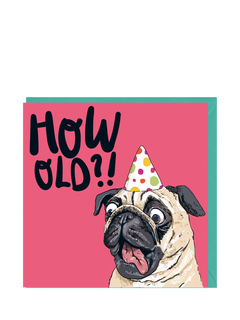 Lovely Paper Stuff Pug How Old Birthday Card