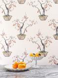 Cole & Son Kaki Persimmon Wallpaper