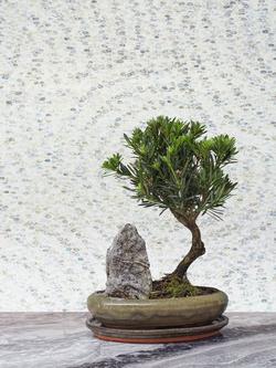 Cole & Son Meditation Wallpaper, Stone - view 2, Stone