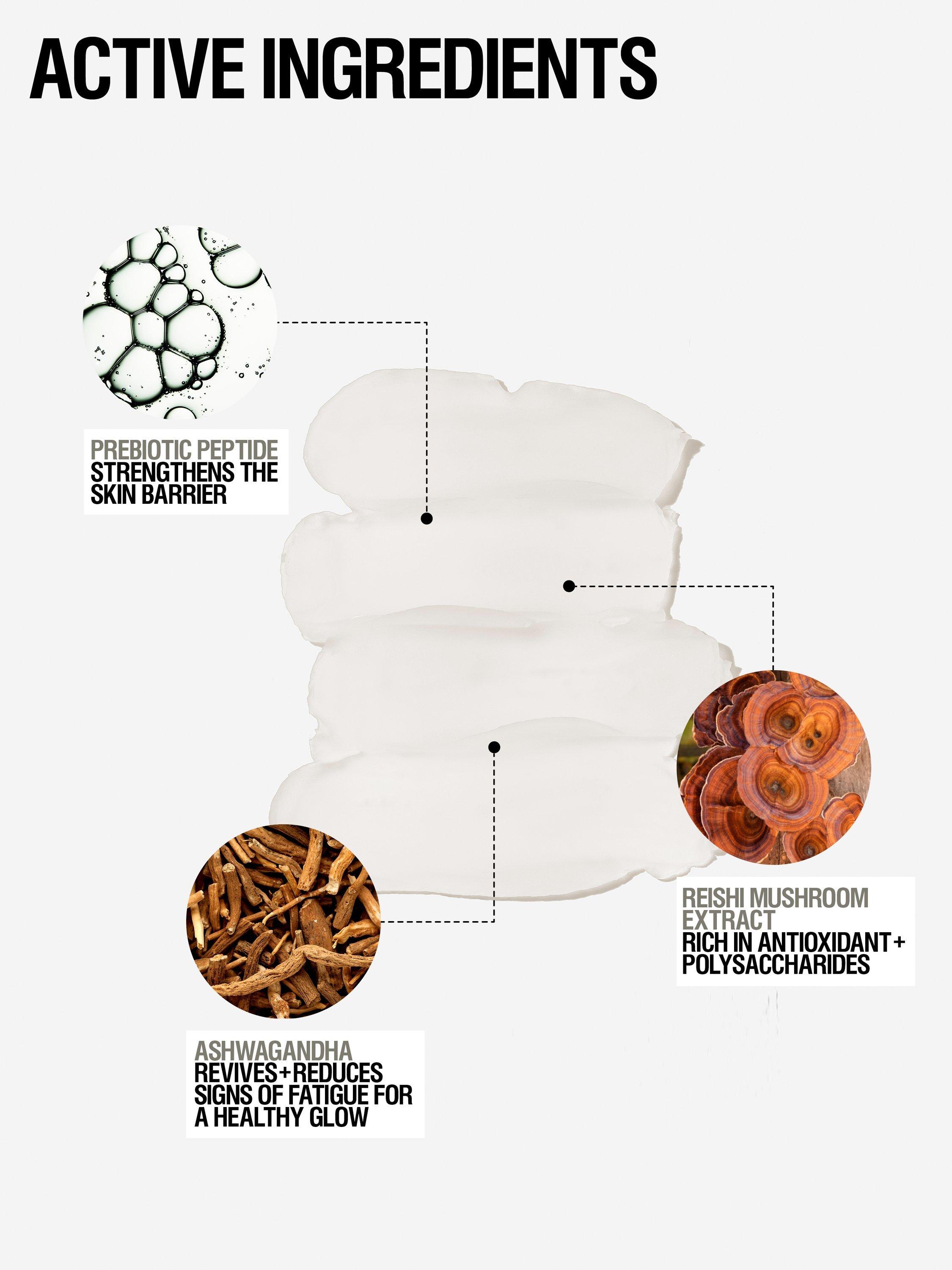 Product image 2 of 7, which shows Grown Alchemist Skin Defense Primer, 50ml