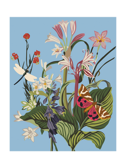 RHS Paint Exotic Floral Paint by Numbers Kit, Multi