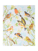 Natural History Museum Garden Birds Paint by Numbers Kit