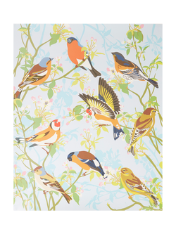 Natural History Museum Garden Birds Paint by Numbers Kit, Multi