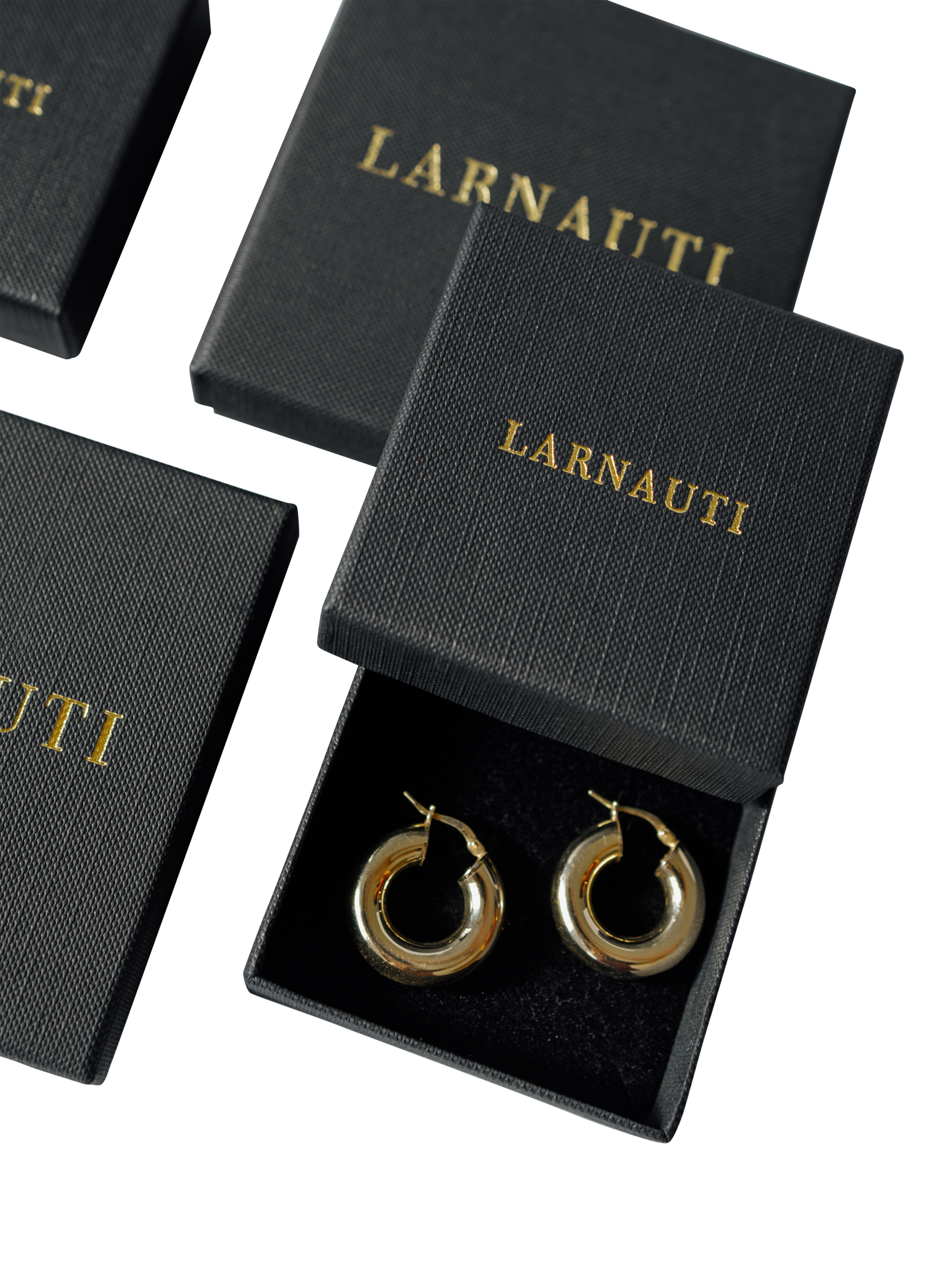Product image 5 of 5, which shows LARNAUTI Polished and Sand Blasted Hoop Earrings, Gold