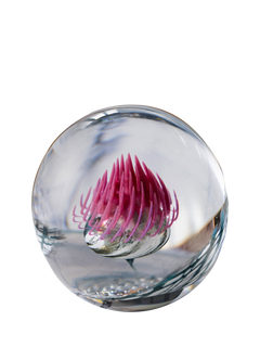 Caithness Glass Highland Reel Paperweight