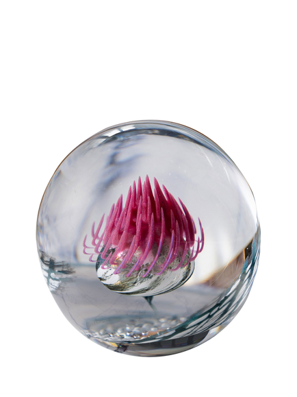 Caithness Glass Highland Reel Paperweight, 