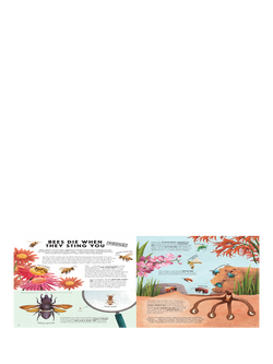 Nosy Crow Everything You Know About Minibeasts Is Wrong KIds' Book - view 2, Multi