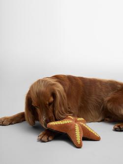 Barbour Starfish Squeaky Dog Toy, Multi - view 2, Multi