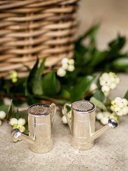Culinary Concepts Watering Can Silver-Plated Salt and Pepper Set - view 2, 