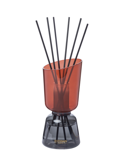 Esteban Iconic Colour Teck & Tonka Reed Diffuser, 250ml, 