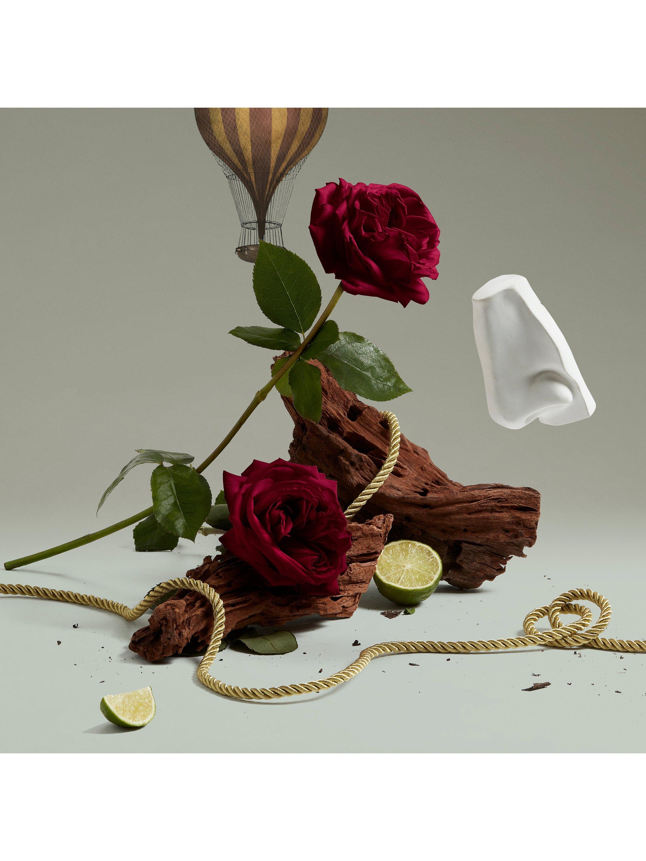 Product image 4 of 5, which shows Penhaligon's Halfeti Eau de Parfum, 100ml
