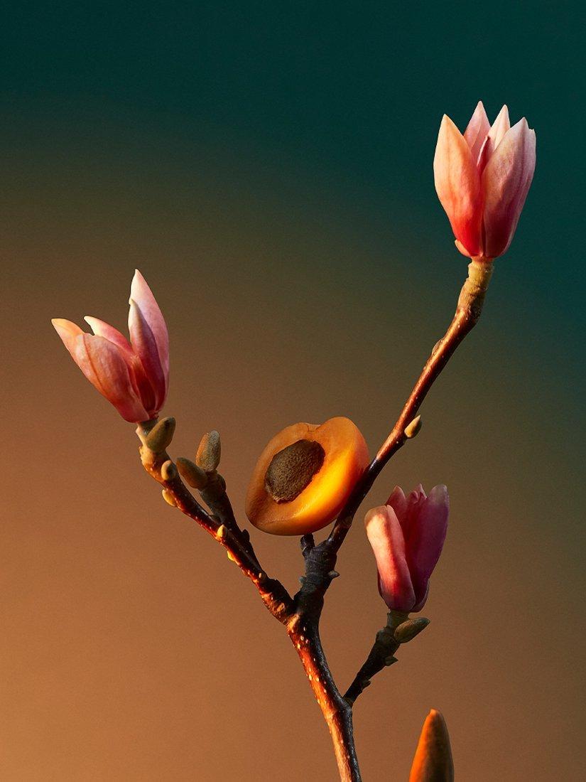 Product image 4 of 6, which shows Penhaligon's Vra Vra Vroom Eau de Parfum, 100ml