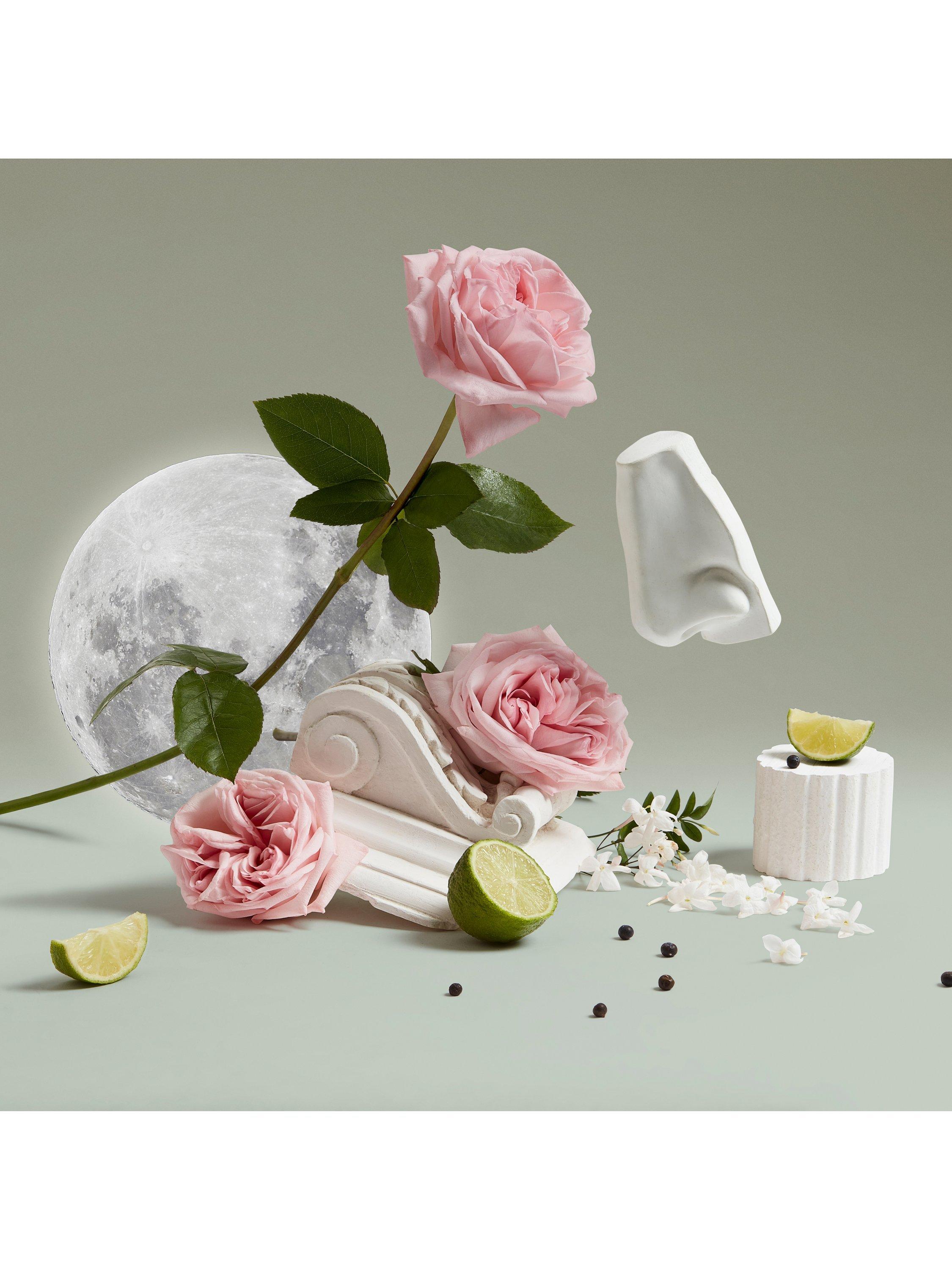 Product image 3 of 3, which shows Penhaligon's Luna Body & Hand Lotion, 500ml