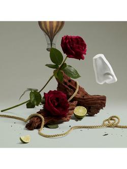 Penhaligon's Halfeti Hand Cream, 75ml - view 2, 