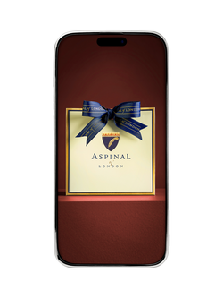 Aspinal of London iPhone 16 Pro Max Leather Case - view 2, Navy