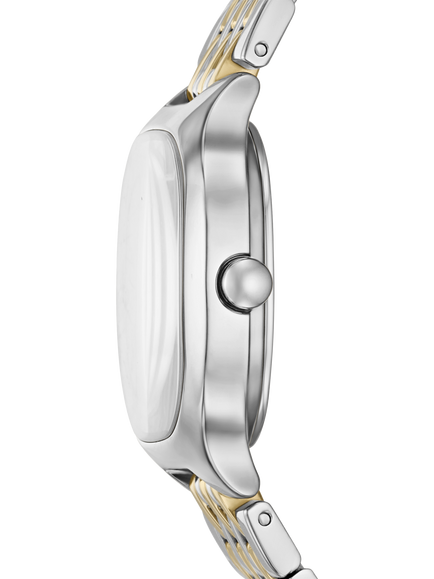 Skagen SKW3160 Bracelet Strap Women's Watch - view 2, Silver And 2-tone