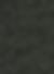 Copparo Deep Forest Green colour