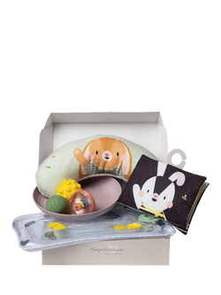 Taf Toys Baby Tummy Time Kit, Multi