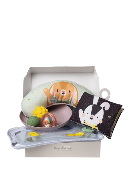 Taf Toys Baby Tummy Time Kit, Multi