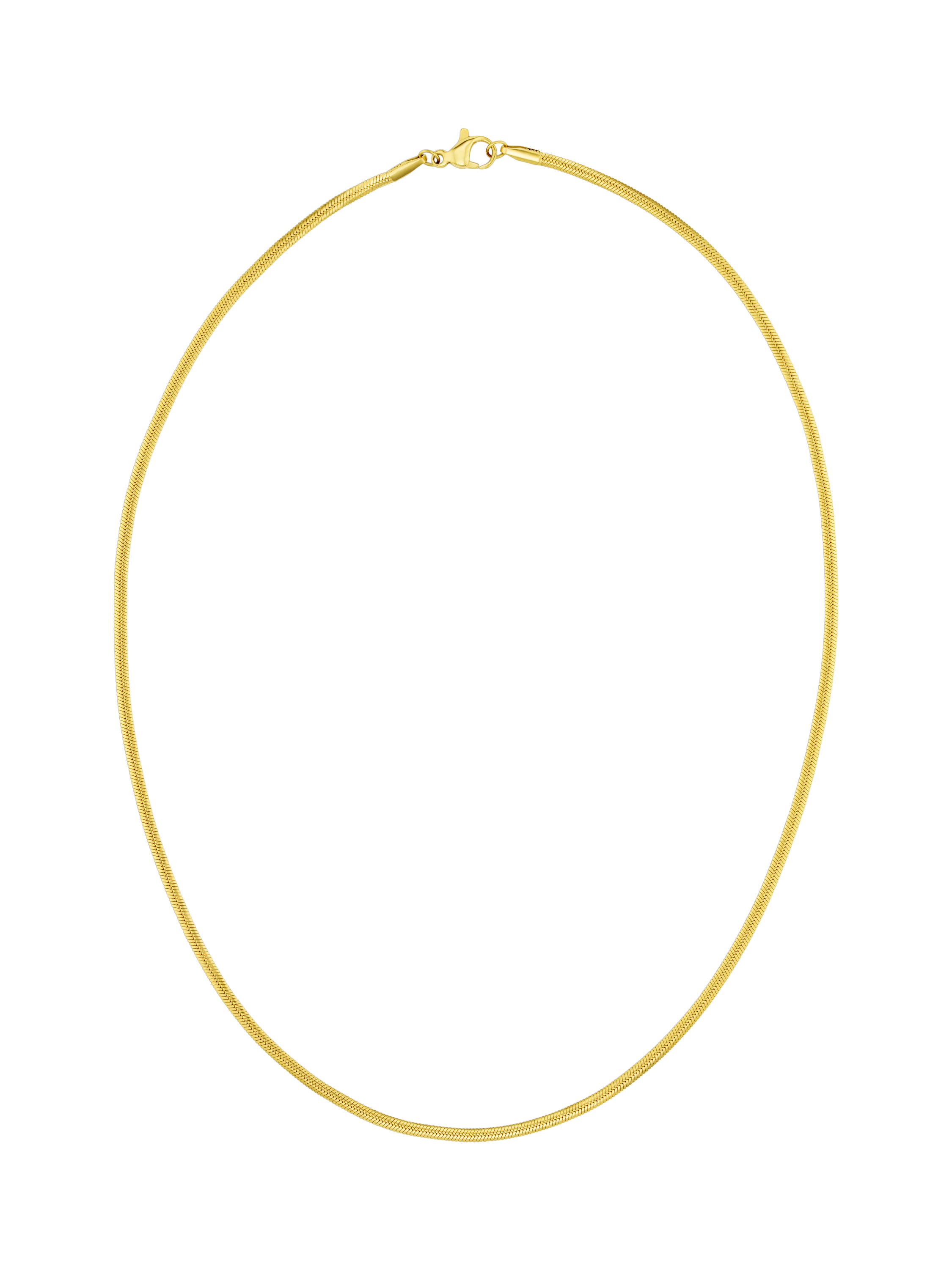 Product image 1 of 3, which shows Orelia LUXE Flat Snake Chain Necklace, Gold
