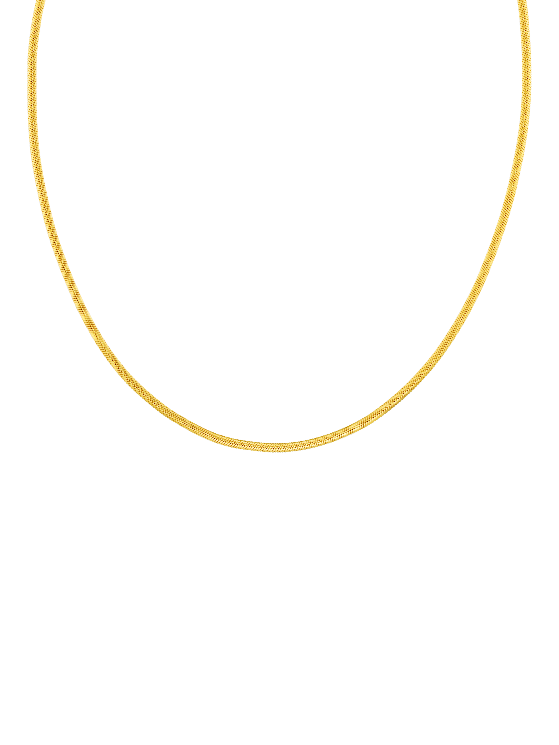 Product image 2 of 3, which shows Orelia LUXE Flat Snake Chain Necklace, Gold