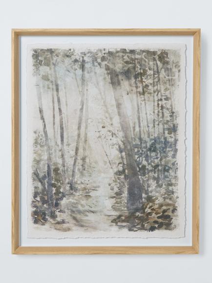 John Lewis 'Forrest Walk' Framed Print, 60 x 50cm, Multi, Multi