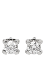 Gold Stud Earrings