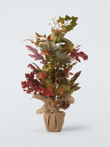 John Lewis Green Pumpkin Tree in Pot, H60cm, Green Multi