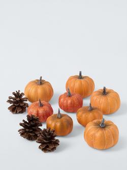 John Lewis Pumpkin and Pine Cone Decorations, Pack of 12, Multi